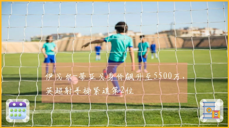 伊戈尔-蒂亚戈身价飙升至5500万，英超射手榜紧追第2位