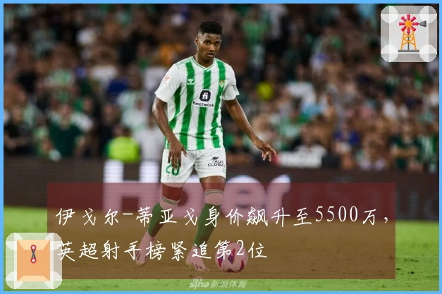 伊戈尔-蒂亚戈身价飙升至5500万，英超射手榜紧追第2位