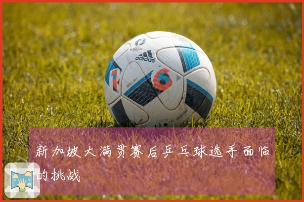 新加坡大满贯赛后乒乓球选手面临的挑战