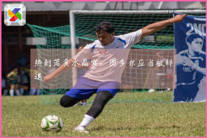 热刺若负水晶宫，图多尔应当被辞退